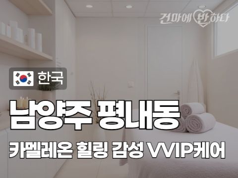 남양주 평내동 [카멜레온] 이미지