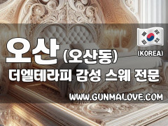 오산 오산동 [더엘테라피] 이미지