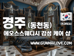 경주 동천동 [에오스스웨디시] 이미지