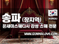 송파 장지역 [온새미스웨디시] 이미지