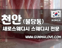 천안 불당동 [새로스웨디시] 이미지