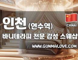 인천 연수역 [바니테라피] 이미지