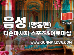 음성 맹동면 [다손마사지] 이미지