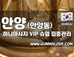 안양 안양동 [하니마사지] 이미지