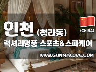 인천 청라동 [럭셔리명품] 이미지