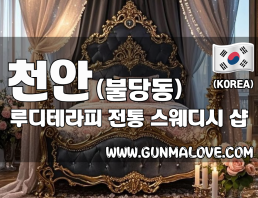 천안 불당동 [루디테라피] 이미지