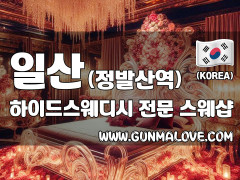 일산 정발산역 [하이드스웨디시] 이미지