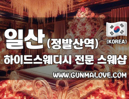 일산 정발산역 [하이드스웨디시] 이미지