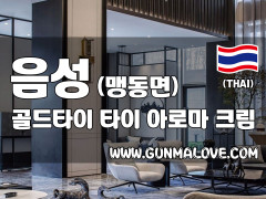 음성군 맹동면 [골드타이] 이미지