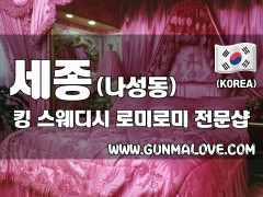 세종 나성동 [킹] 이미지