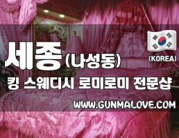세종 나성동 [킹] 이미지