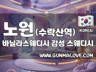 노원 수락산역 [바닐라스웨디시] 이미지