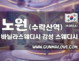 노원 수락산역 [바닐라스웨디시] 이미지