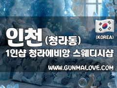 인천 청라동 1인샵 [청라에비앙] 이미지
