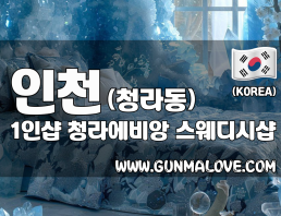 인천 청라동 1인샵 [청라에비앙] 이미지