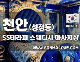 천안 성정동 [SS테라피] 이미지