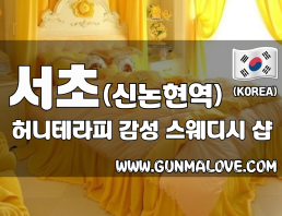 서초 신논현역 [허니테라피] 이미지