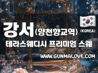 강서 양천향교역 [테라스웨디시] 이미지