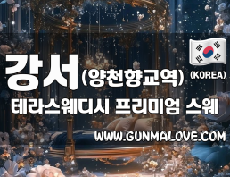 강서 양천향교역 [테라스웨디시] 이미지