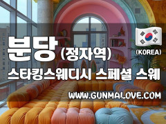 분당 정자동 정자역 [스타킹스웨디시] 이미지