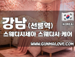강남 선릉역 [스웨디시세아] 이미지