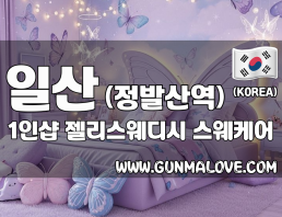 일산 정발산역 1인샵 [젤리스웨디시] 이미지