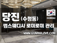 당진 수청동 [썸스웨디시] 이미지