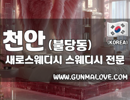 천안 불당동 [새로스웨디시] 이미지