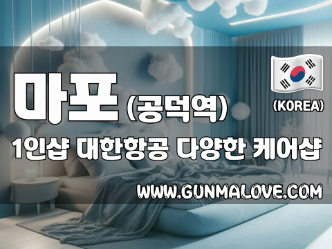 마포 공덕역 1인샵 [대한항공] 이미지