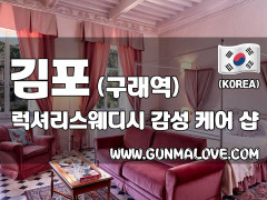 김포 구래역 [럭셔리스웨디시] 이미지