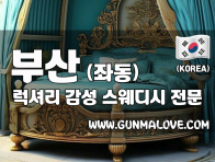 부산 좌동 [럭셔리] 이미지