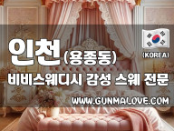인천 용종동 [비비스웨디시] 이미지