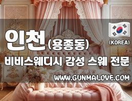 인천 용종동 [비비스웨디시] 이미지