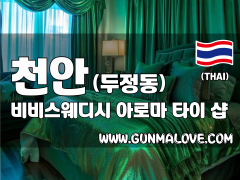 천안 두정동 [비비스웨디시] 이미지