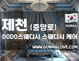 제천 중앙로 [DODO스웨디시] 이미지