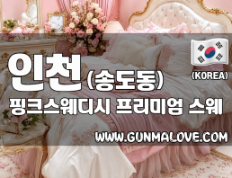 인천 송도동 [핑크스웨디시] 이미지