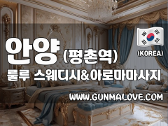 안양 평촌역 [룰루] 이미지