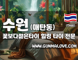 수원 매탄동 [꽃보다젊은타이] 이미지