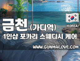 금천 가디역 1인샵 [포카리] 이미지