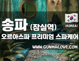 송파 방이동 잠실역 [오르아스파] 이미지