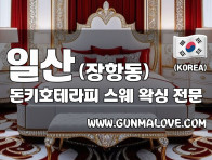 일산 장항동 [돈키호테라피] 이미지