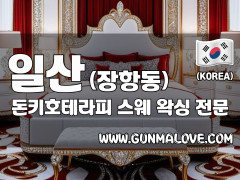 일산 장항동 [돈키호테라피] 이미지