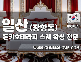 일산 장항동 [돈키호테라피] 이미지