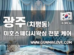 광주 치평동 [미호스웨디시왁싱] 이미지