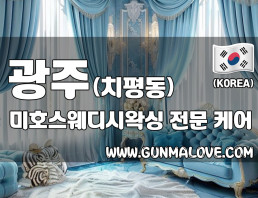 광주 치평동 [미호스웨디시왁싱] 이미지