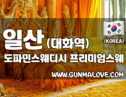 일산 대화동 대화역 인근에 위치한 도파민스웨디시는 전원 20대 한국인 여성 관리사가 정성스럽게 스웨디시 마사지를 제공하는 힐링 전문샵입니다. 오전 11시부터 새벽 5시까지 운영되며, 무료 주차도 가능합니다. 지금 바로 건마에반하다에서 예약하세요.