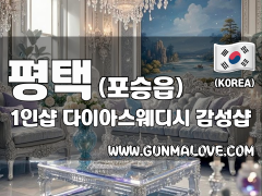 평택 포승읍 1인샵 [다이아스웨디시] 이미지