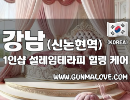 강남 논현동 신논현역 [설레임테라피] 이미지