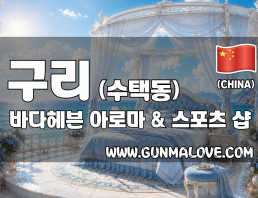 구래 수택동 [바다헤븐] 이미지