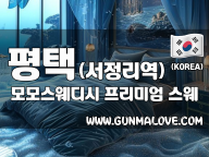 평택 서정리역 [모모스웨디시] 이미지